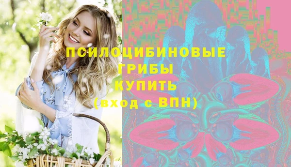 прущая мука Алзамай
