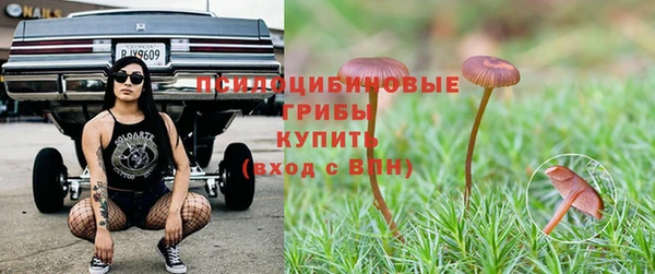 каннабис Алексин